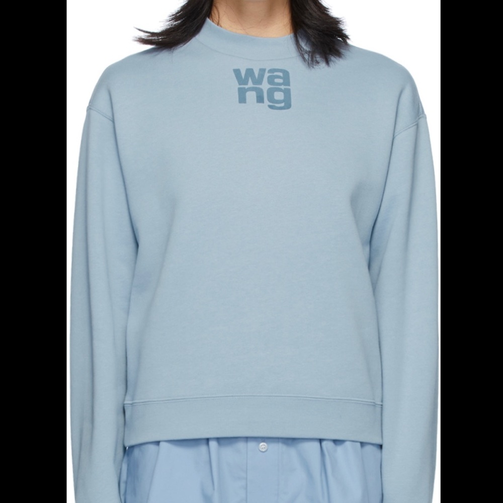 Alexander Wang sweatshirt
